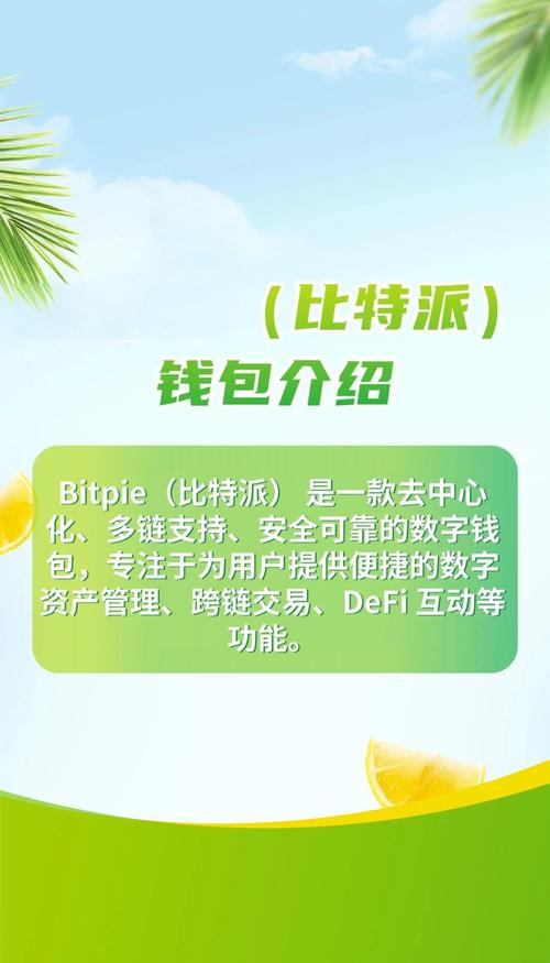 比特派钱包trx_比特派钱包app官方下载中文版的财务管理与优化_比特派钱包使用方法