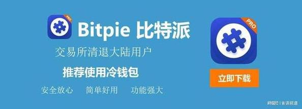 比特派钱包下载官方app策略与营销方案分析，关乎竞争力提升